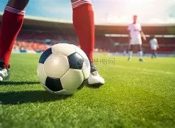 九游会,资讯,j9九游会,九游会,j9,九游会官方网站,j9官网,九游会游戏,j9真人游戏,九游会平台