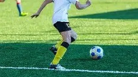 《愤怒激情！尼斯球迷爆发冲突，球场内上演激烈对抗，球员与总监遭遇暴力冲击》