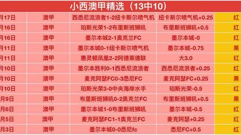 “新星球员炫耀赌金所得反被NRL诚信审查，横祸突降”