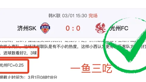 斯图加特迅速反击，吉拉西精准射门立功