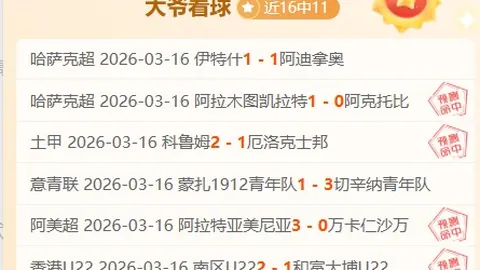 烽火狼堡，主场能否逆转败局？德甲焦点对决，一触即发！